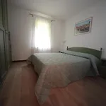 Diffuso Valcellina E Val Vajont In Claut